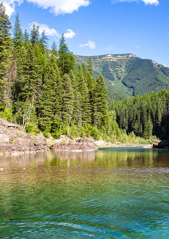 Calm blue water with a tree line behind it.