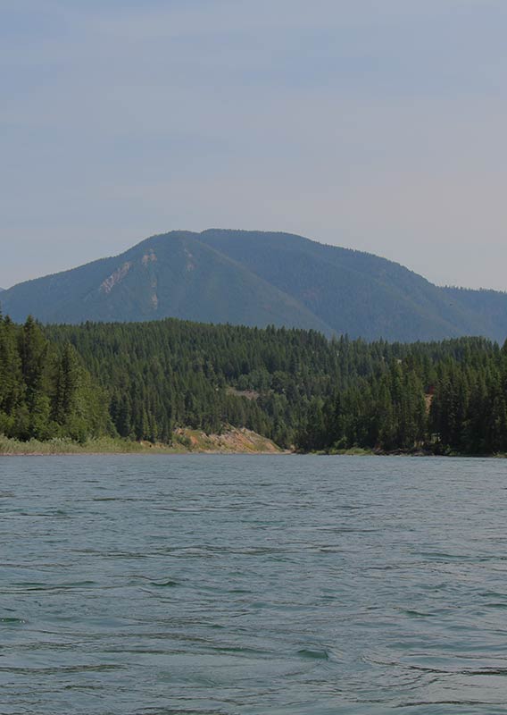 Landscape of water, with forest behind it.