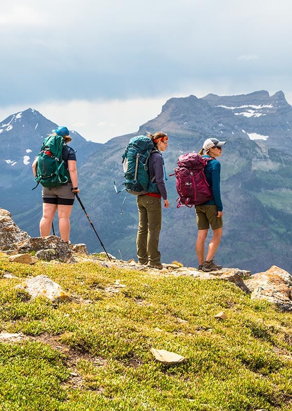 Three hikers stand in an alpine meadow, overlooking mountains in the distance