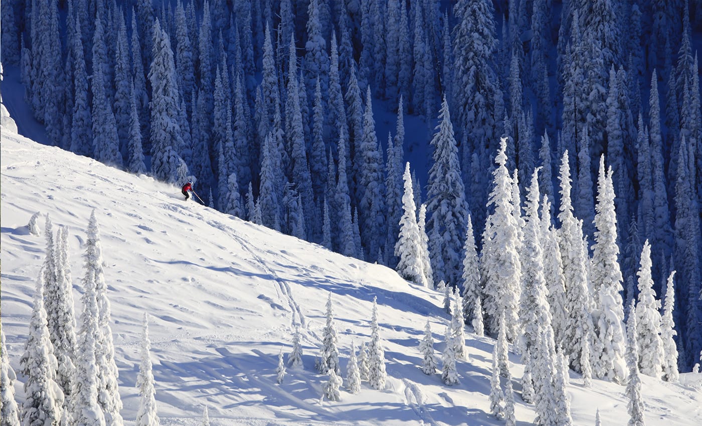 Skiing Winter