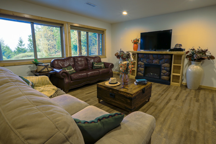 Basement living room