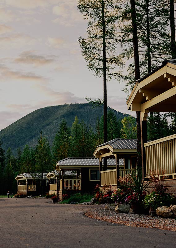 A row of Cabins in summer with trees in the background.
