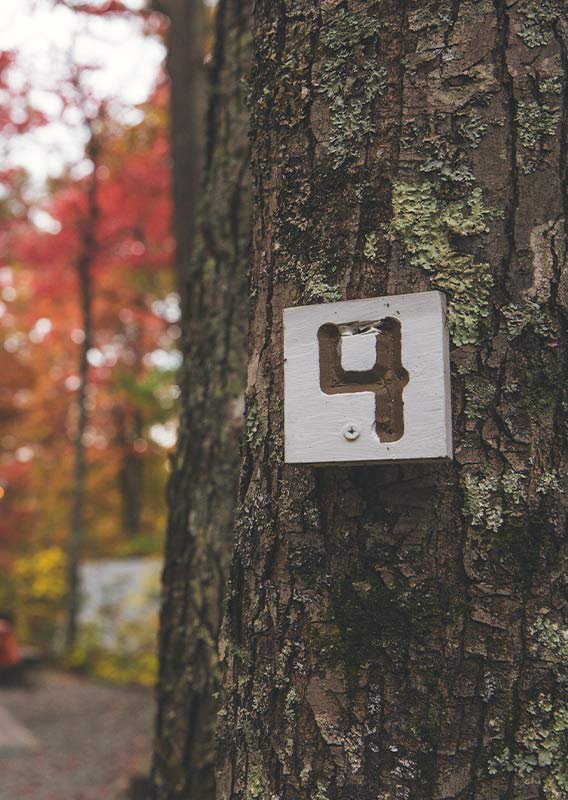 An RV parked in a tree-shaded campsite.