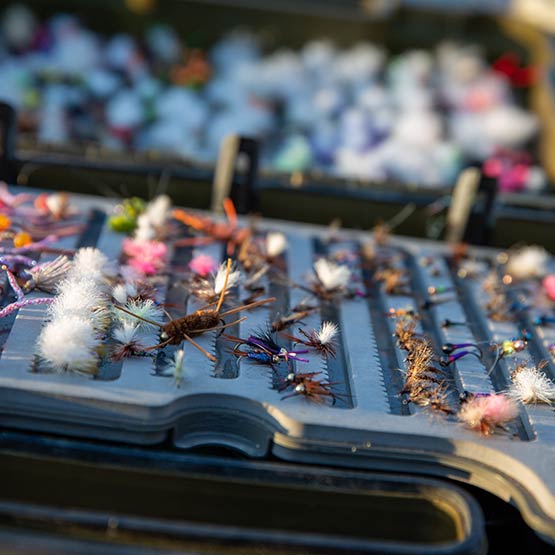 Close up of fishing lures