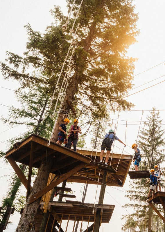 A series of high platforms with people walking between them nestled among trees.