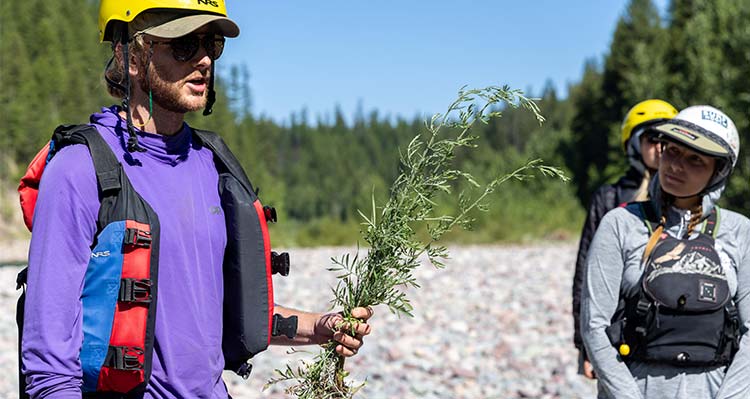 A guide holding local flora
